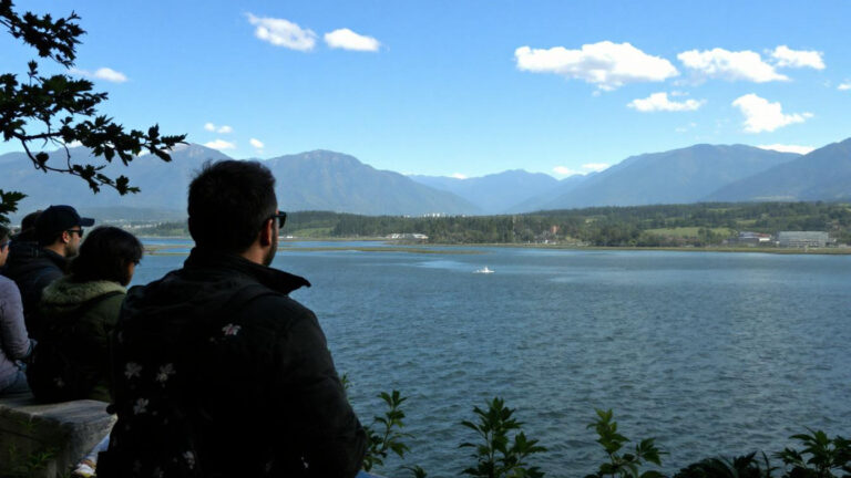 Niet Perzische noch Maine Coon, deze kattenrassen toonden maandenlang onverwachte loyaliteit
